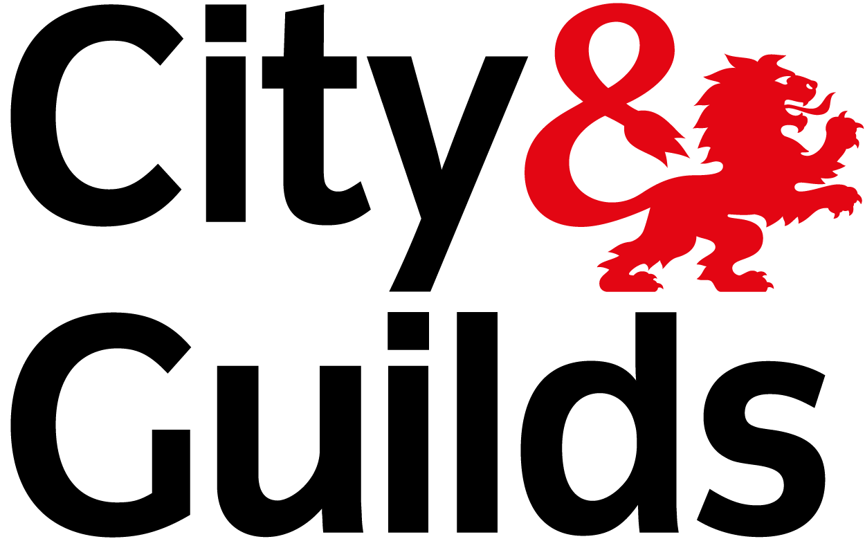 Professional License